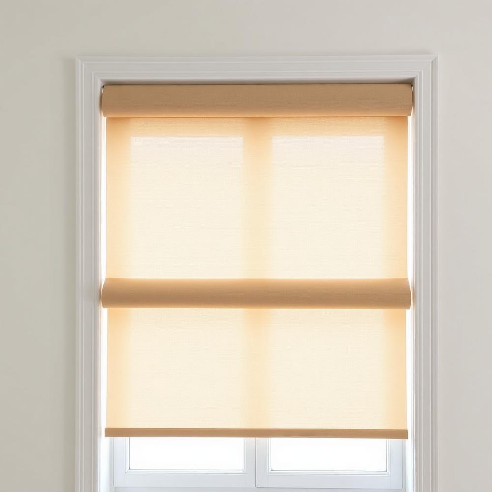 Day & Night Zebra Blinds